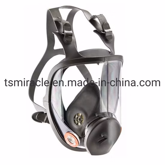 Gas Mask Reusable Filter Mask Chemical Industry Building